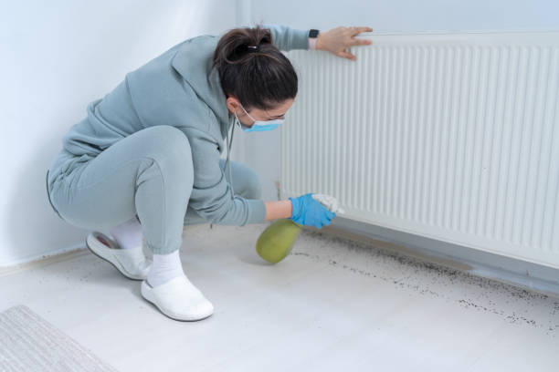 شركة لمكافحة النمل