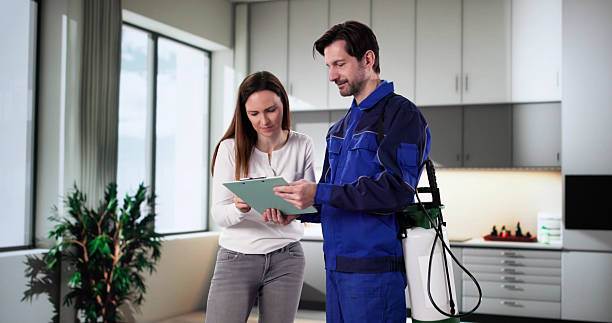 شركة مكافحة حشرات فى اكتوبر 