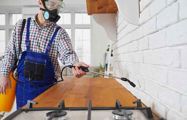 شركة مكافحة حشرات فى مصر الجديدة بأحدث الأساليب الفعالة 01044247070